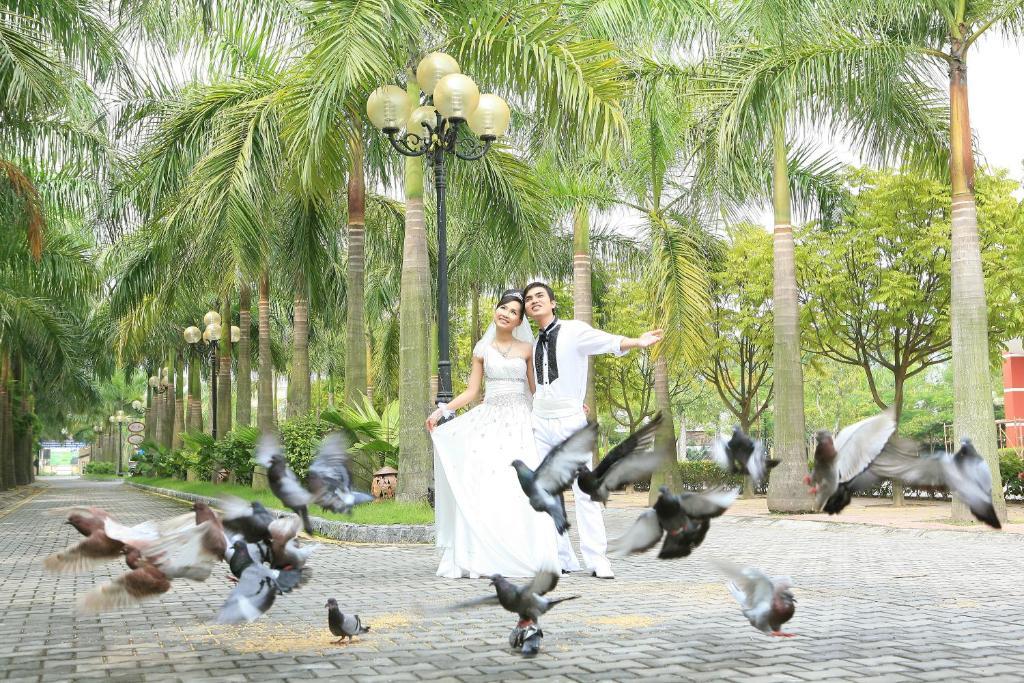 Camela Hotel & Resort Hai Phong Exterior photo